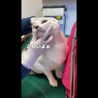 こわいよぉ