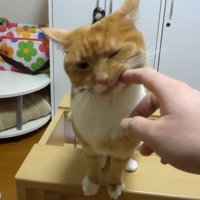 指にスリスリ