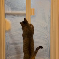 大きく手を左右に振りながら掃除をする飼い主