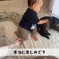 猫をなでている赤ちゃん