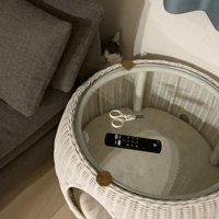 隠れる猫