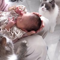 人に抱かれている赤ちゃんとそれを見ている猫