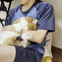 息子さんの左腕にお顔を伏せる長毛猫ちゃん