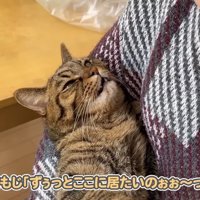 ずぅっとここに