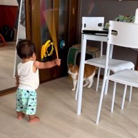 立って向かい合う子どもと猫