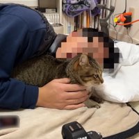 パパさんとうーちゃん