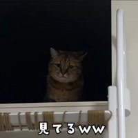 ロフトから確認するみにら君2