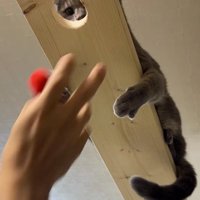 キャットウォークの穴から落ちるボール