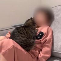 女の子と一緒に座っている猫