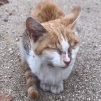 目を閉じたまま外に立つ善くん