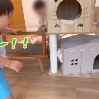 テロップ「ああー！」