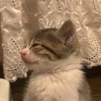 目を閉じる横顔