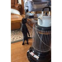 ストーブの前にいる猫