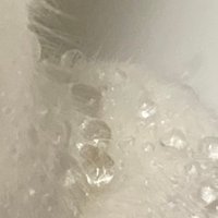 水滴いっぱいの手