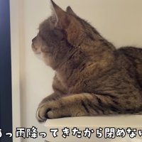 雨が降ってきたので窓を閉めないと…