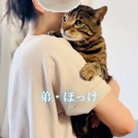 飼い主さんに抱っこされる弟ベンガル