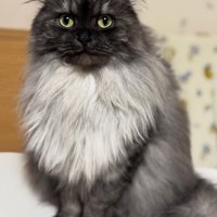 少し落ち着いた現在の様子