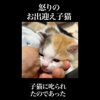 顔乗せ