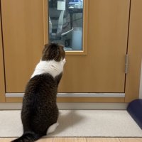 後ろ姿