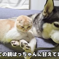 はっちゃんに甘えるじゅんちゃん