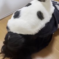 頭の上(後ろから)