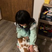 猫を抱っこしようとする女の子