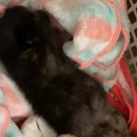 モゾモゾ動き回る小梅ちゃん