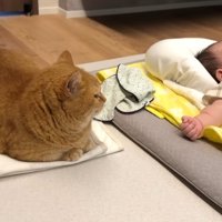 赤ちゃんを見つめる姿