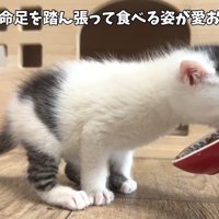 一生懸命足を踏ん張って