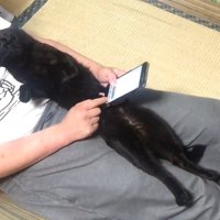 スマホ中