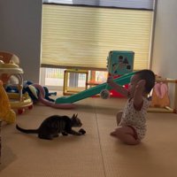 一緒に遊ぶ猫と赤ちゃん2