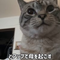 テロップ「どアップで～」