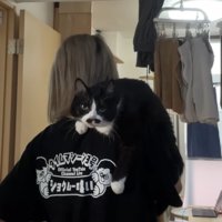肩乗り