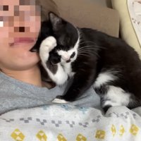 グルーミング