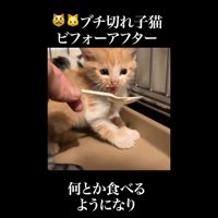 口元を汚しながら威嚇