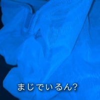 洗濯ネット