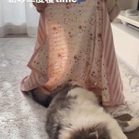 ブランケットを持ち上げる子どもと寝ている猫