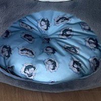 ペットハウスに入ったクッション