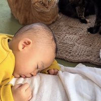 「知らぬ間に...」のテロップ写真3