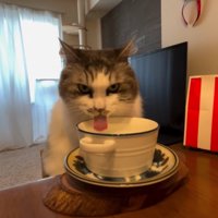 見つめながら飲む