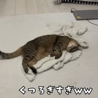 「くつろぎすぎｗｗ」のテロップ写真