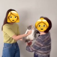 猫を抱っこするおばあちゃん