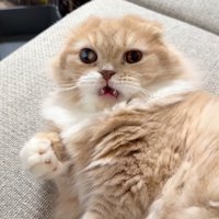 被害者ヅラ