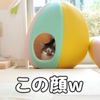この顔w
