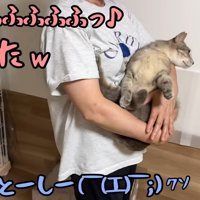 テロップ「ふんふふふ～」