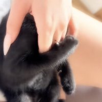 「ママから離れにゃい」のテロップ写真2