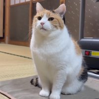 ホカペの上(ほぼ正面)