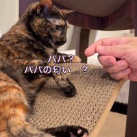 考える
