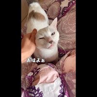 おはよぉ