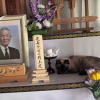 おじいちゃんの遺影と猫